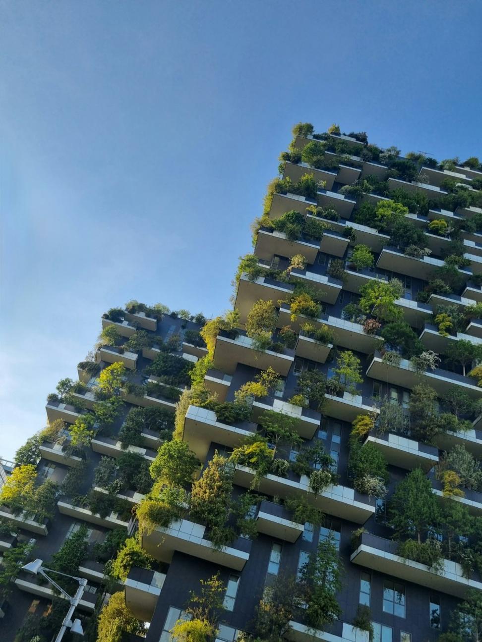 Earth Mother Estate